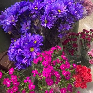 Meet your Posher, Andreina